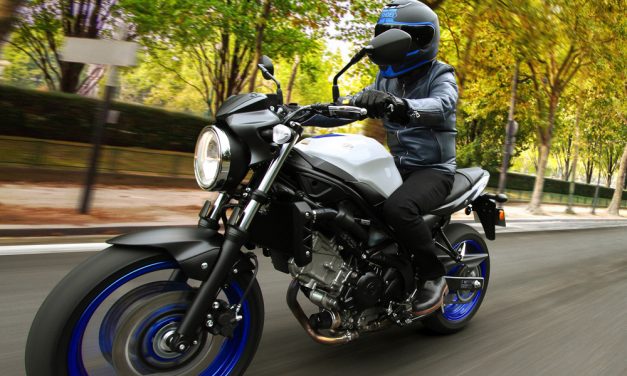 Suzuki SV 650: Pura moto naked