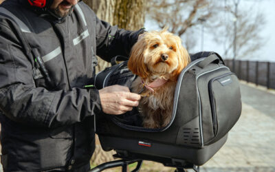 Viaja con tu mejor amigo en moto con la nueva Pet Bag de Givi